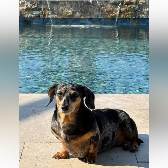 Meet your Posher, Leslie - Picture 4 of 13